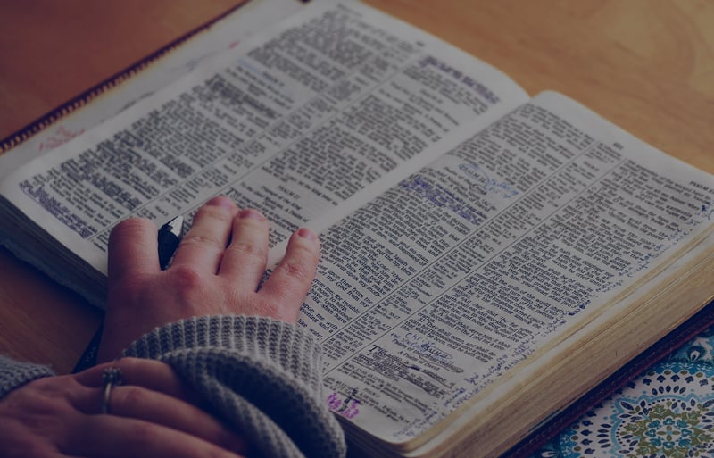 What The Bible Has Taught Me About Forgiveness Dynamic Catholic