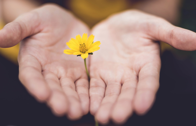Let It Go: 5 Reasons to Give Up Your Grudges and Forgive Everyone
